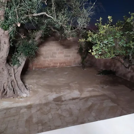 Appartement Aurora 2